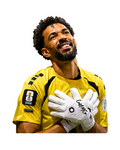 VozinHA 1.0