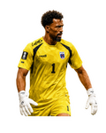 VozinHA 2.0