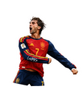 feRRaN