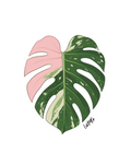 monSTeRA