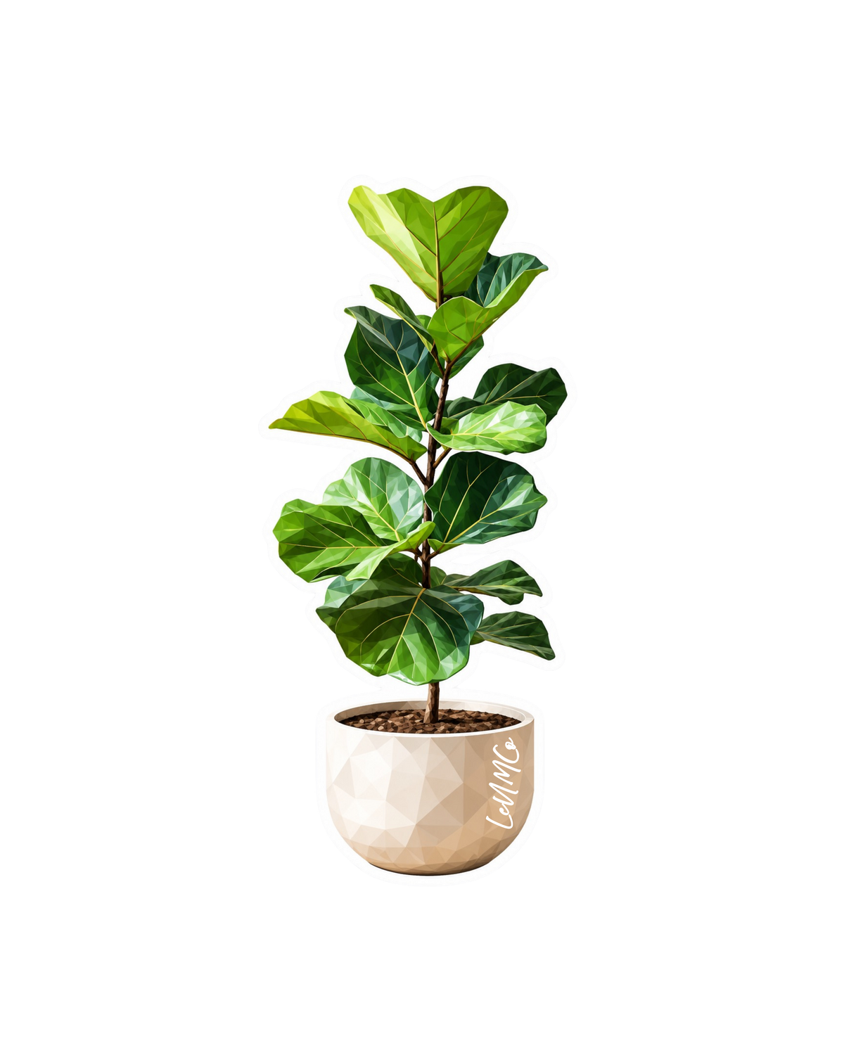 ficUS