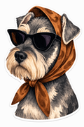 sCHnauzER SR