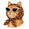 cAT SR