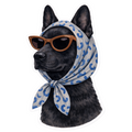 Black dog wearing sunglasses and a patterned bandana on a white background
