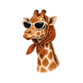 Giraffe head with sunglasses and a patterned scarf on a white background